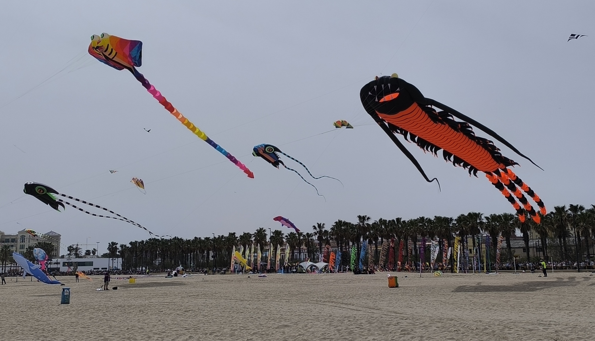 Festival de Cometas