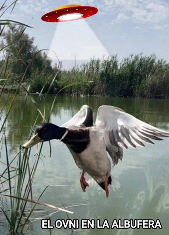 El Ovni en la albufera